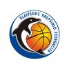 Klaipėdos krepšinio federacija