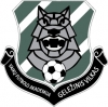 Vaikų futbolo akademija "Geležinis vilkas"
