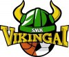 Sporto mėgėjų klubas "Vikingai"